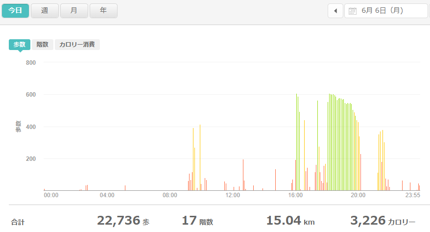 fitbitログより　運動データ2022年6月6日