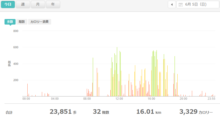fitbitログより　運動データ2022年6月5日