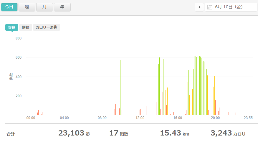 fitbitログより　運動データ2022年6月10日