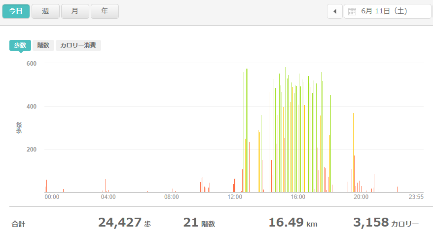 fitbitログより　運動データ2022年6月11日