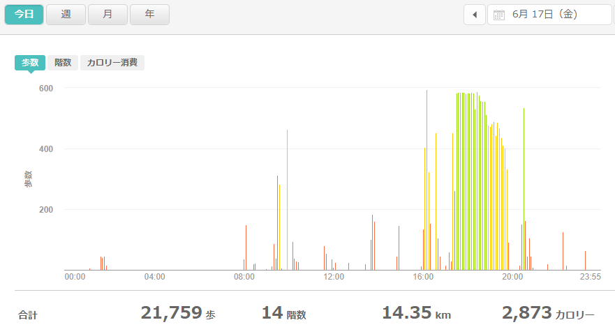 fitbitログより　運動データ2022年6月17日