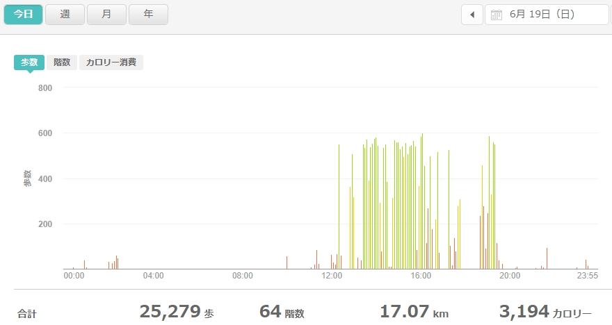 fitbitログより　運動データ2022年6月19日