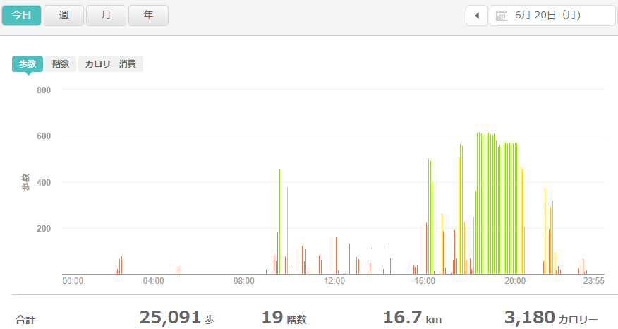 fitbitログより　運動データ2022年6月20日