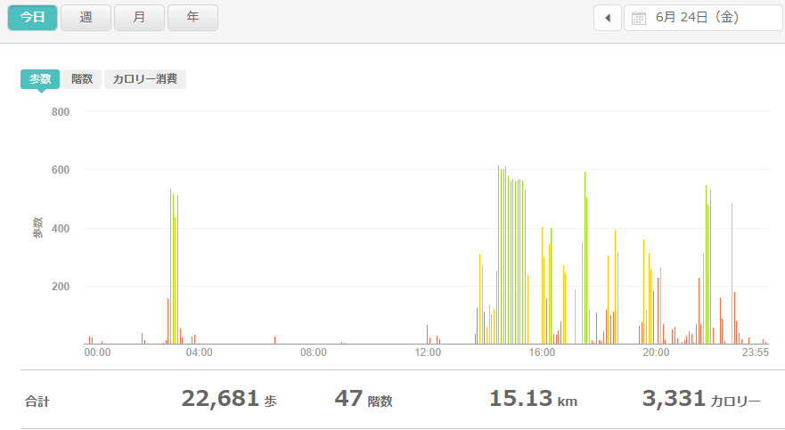 fitbitログより　運動データ2022年6月24日