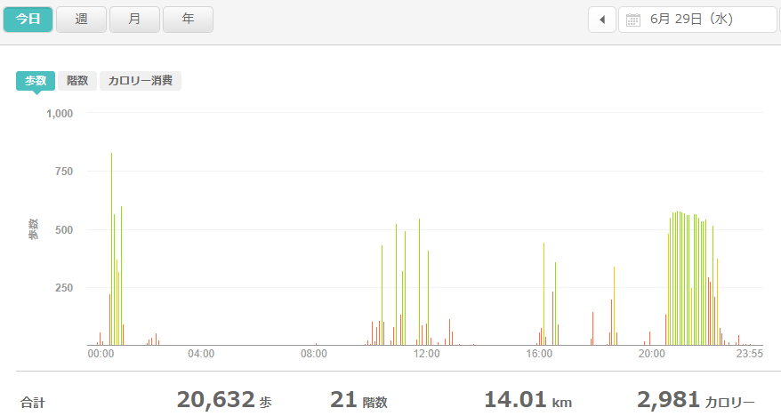 fitbitログより　運動データ2022年6月29日