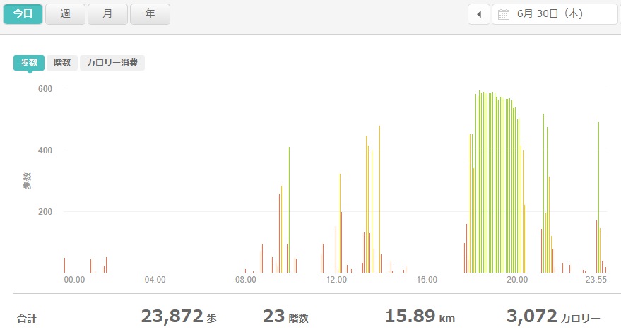 fitbitログより　運動データ2022年6月30日