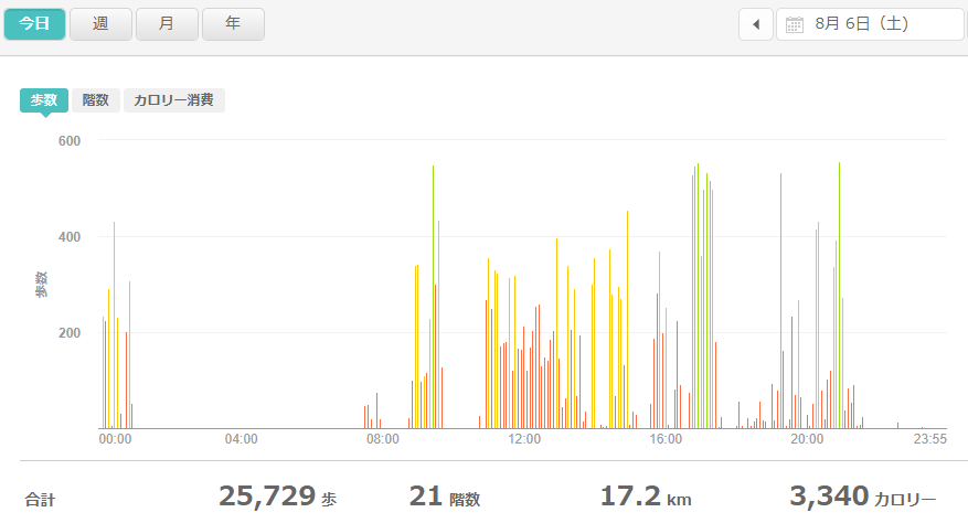 fitbitログより　運動データ2022年8月6日