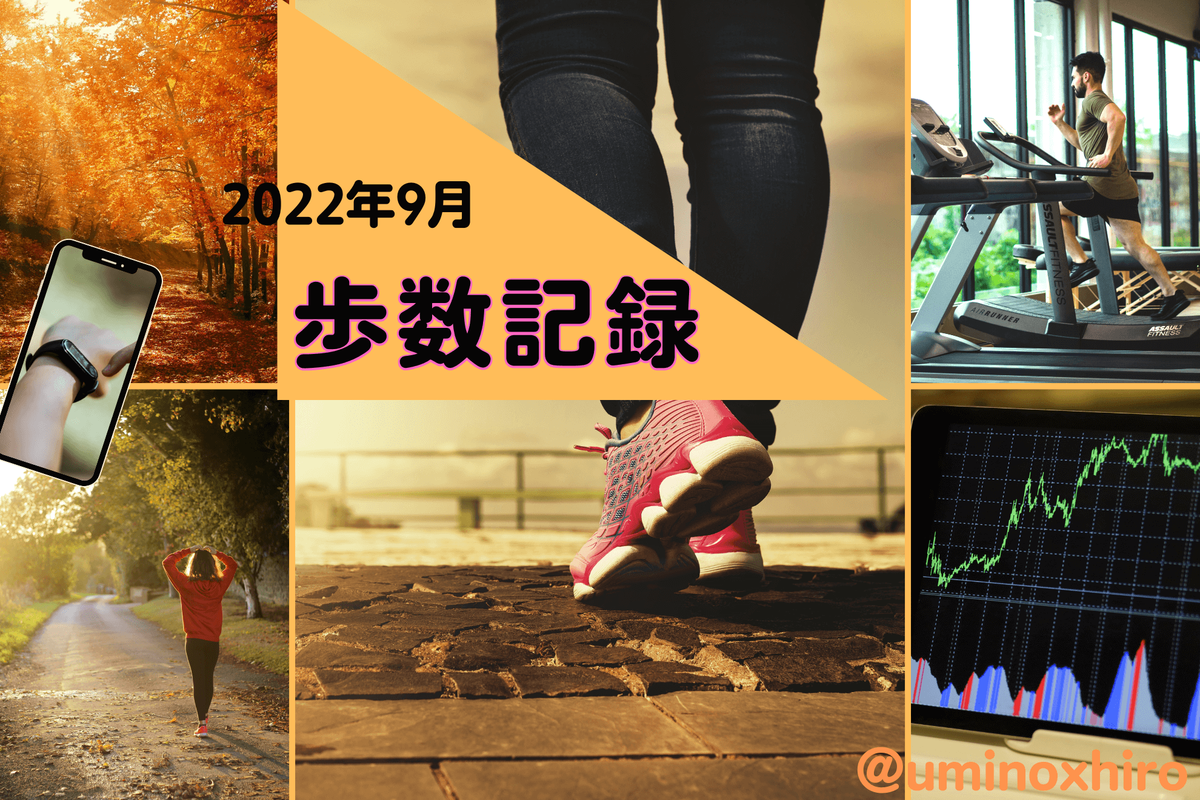 目標毎日20,000歩のウォーキング2022年9月