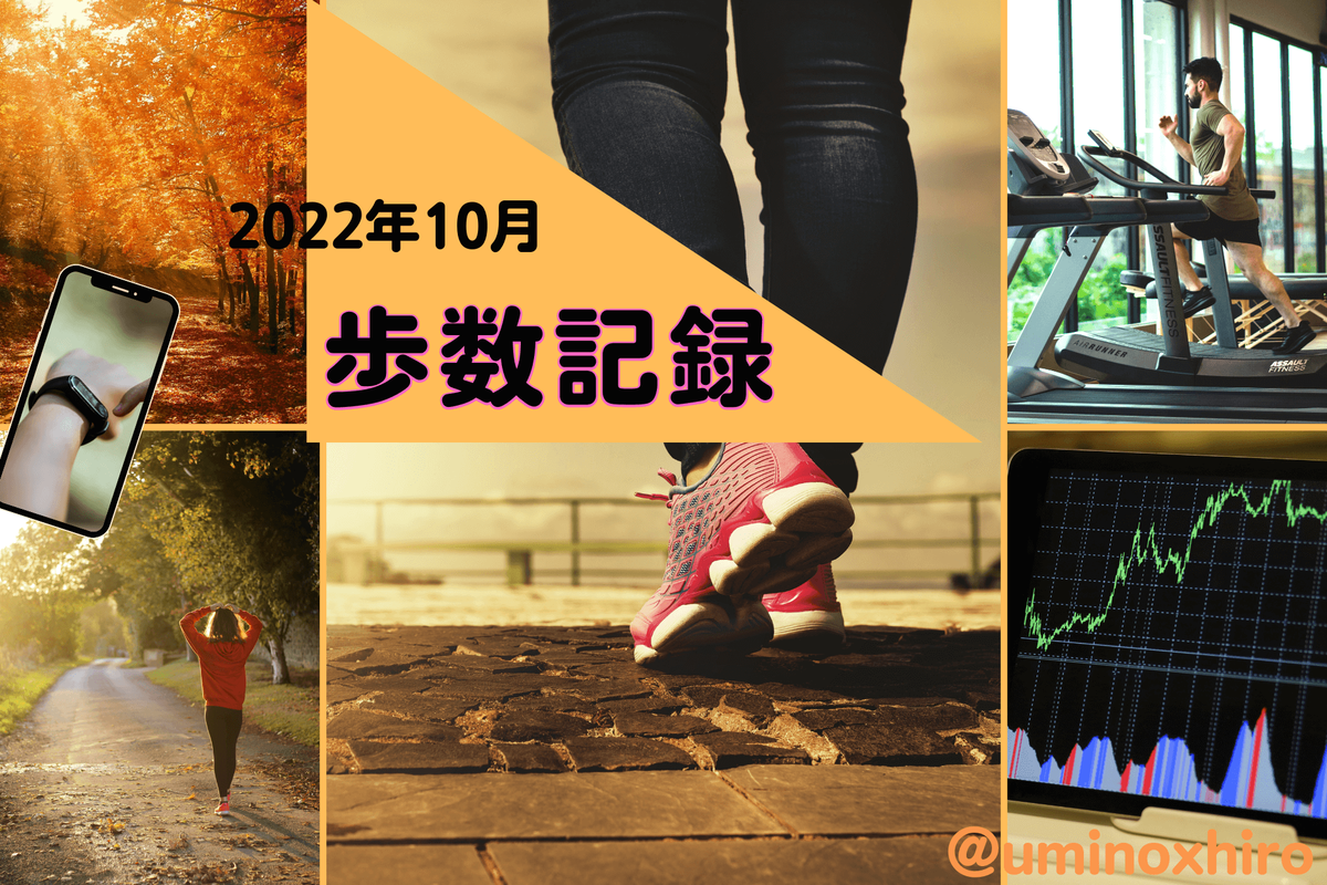 目標毎日20,000歩のウォーキング2022年10月
