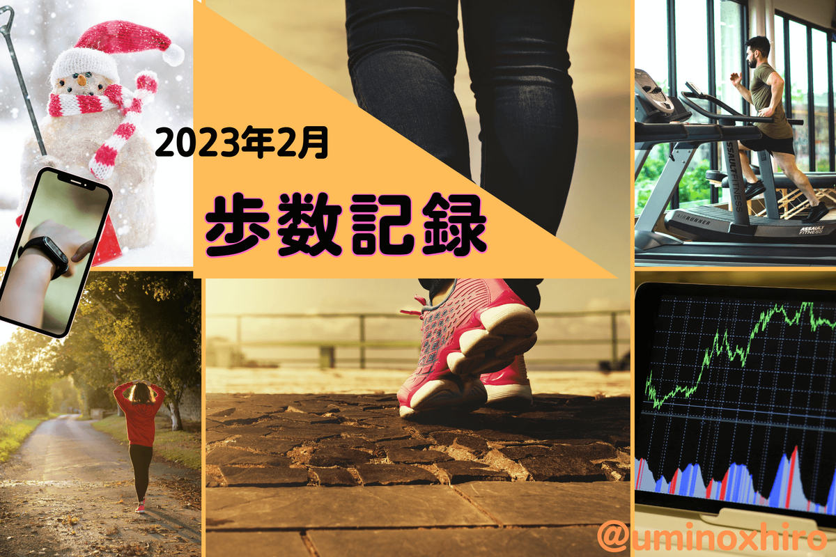 目標毎日20,000歩のウォーキング2023年2月