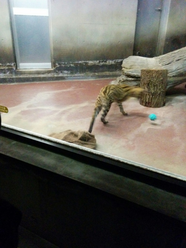 f:id:umikawauso:20170503093823j:plain f:id:umikawauso:20170503093823j:plain