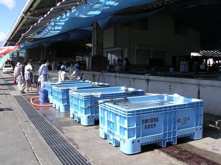 f:id:umikaze:20061007171857j:image:w150