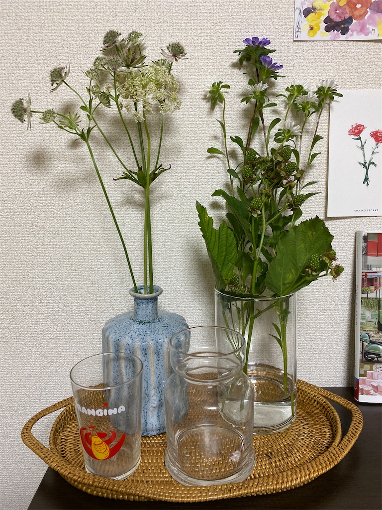f:id:umimer:20200820230542j:image