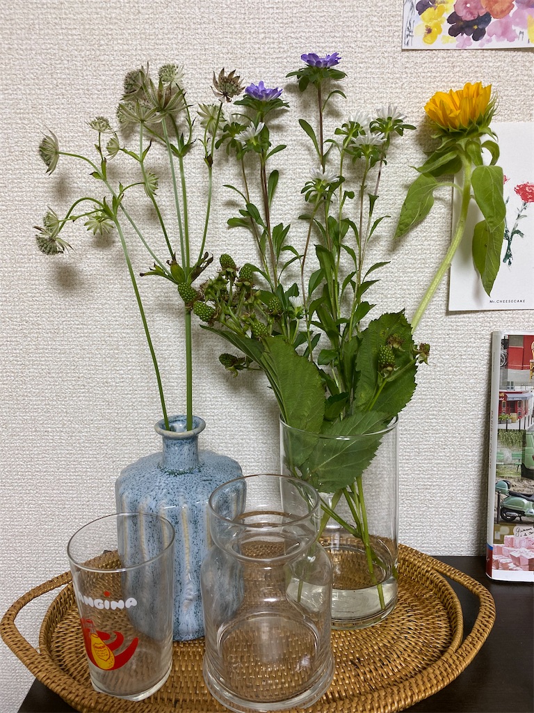 f:id:umimer:20200820230547j:image