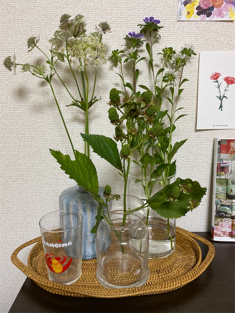 f:id:umimer:20200820230616j:image