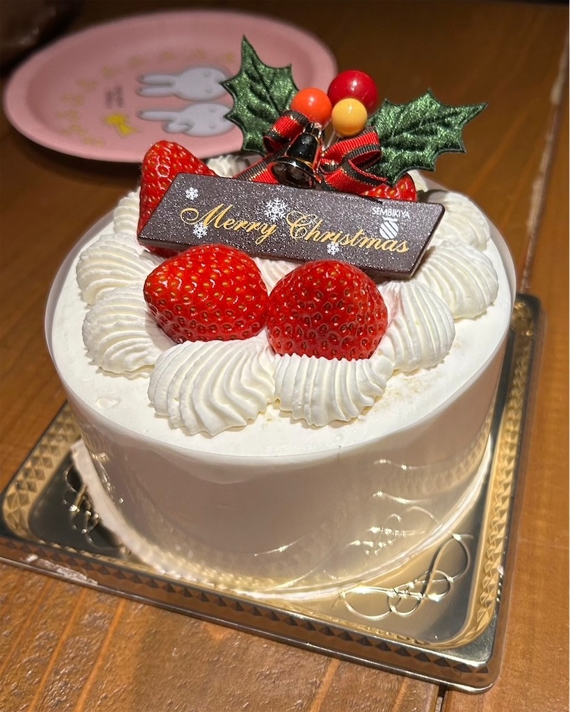 f:id:umimer:20240101225132j:image