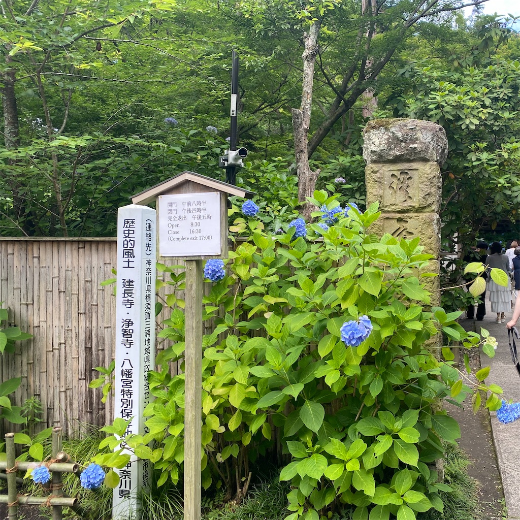 f:id:umimer:20250810185113j:image