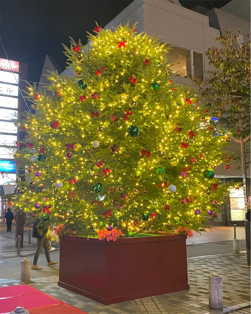 f:id:umimer:20251231201247j:image