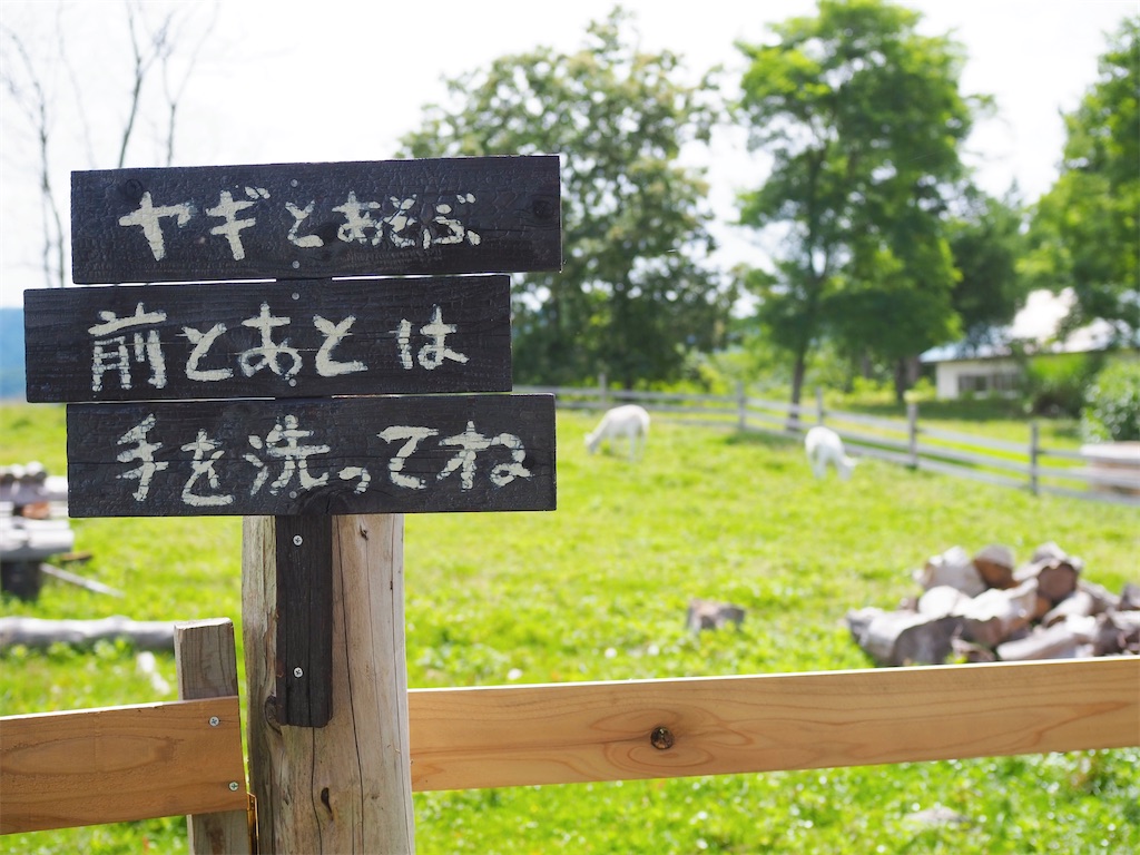 【厚沢部町】看板ヤギのいる美味しいカレー店で絶品ランチ/コーヒーとカレーの店 カンペシーノ 厚沢部町 カンペシーノのカンペーとシーノ
