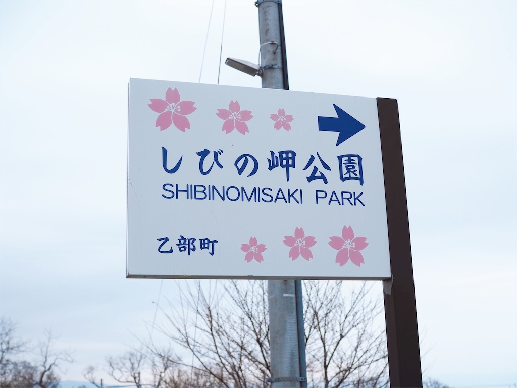 f:id:uminekobiyori:20210413203227j:image f:id:uminekobiyori:20210413203227j:image