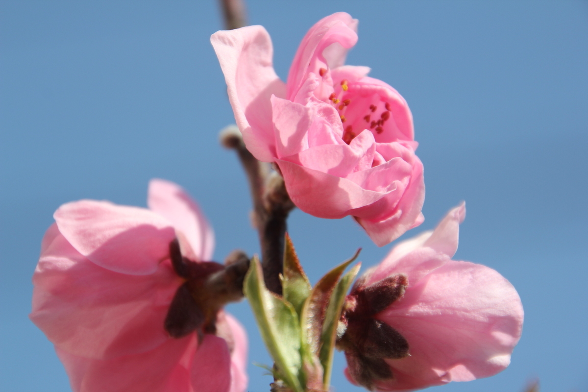 f:id:uminotabi7:20210304113932j:plain