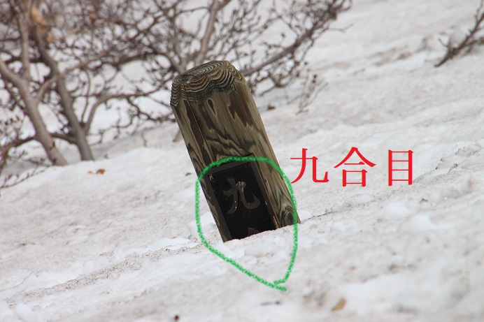 f:id:uminotabi7:20210526071459j:plain