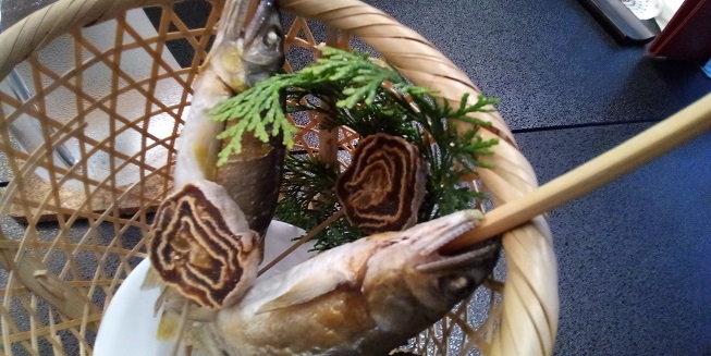 f:id:uminotabi7:20210620092648j:plain