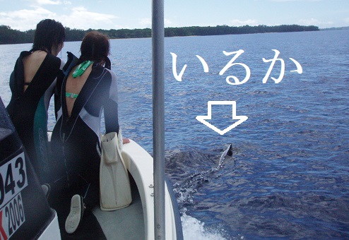 f:id:uminotabi7:20210624062629j:plain