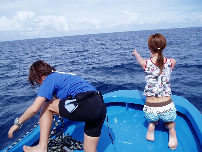 f:id:uminotabi7:20210625212111j:plain