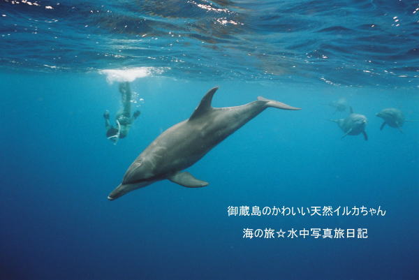 f:id:uminotabi7:20210628193144j:plain