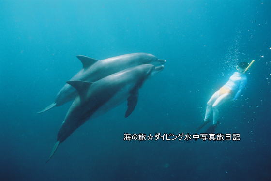 f:id:uminotabi7:20210628194139j:plain