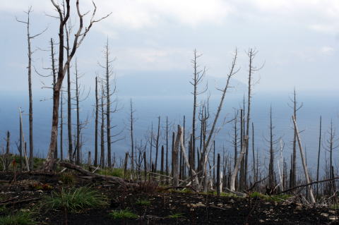f:id:uminotabi7:20210702205032j:plain
