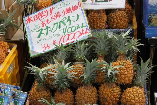 f:id:uminotabi7:20210730201906j:plain