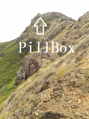 f:id:uminotabi7:20210808052700j:plain