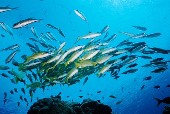 f:id:uminotabi7:20210910064332j:plain