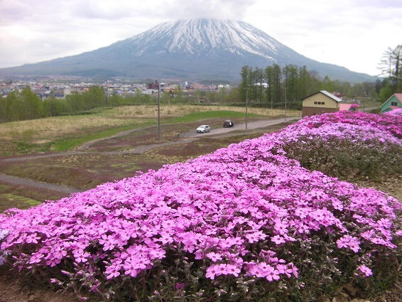 f:id:uminotabi7:20211018125231j:plain