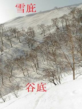 f:id:uminotabi7:20211021193027j:plain