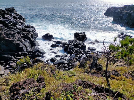 f:id:uminotabi7:20211029215014j:plain