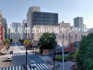 f:id:uminotabi7:20211121115826j:plain