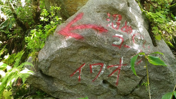 f:id:uminotabi7:20211130192640j:plain