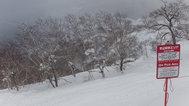 f:id:uminotabi7:20211217202953j:plain