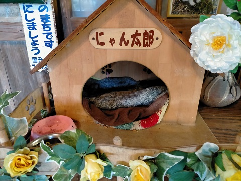 f:id:uminotabi7:20211223193644j:plain