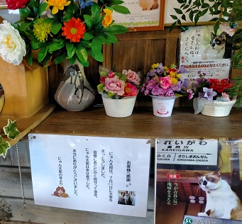 f:id:uminotabi7:20211223193818j:plain