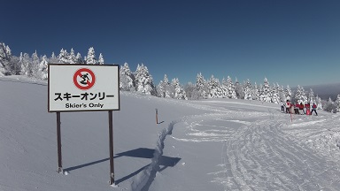 f:id:uminotabi7:20211229085638j:plain