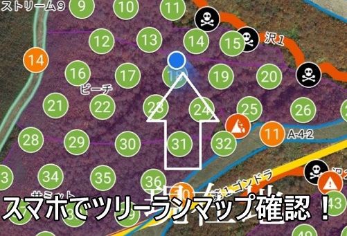 f:id:uminotabi7:20220217111903j:plain