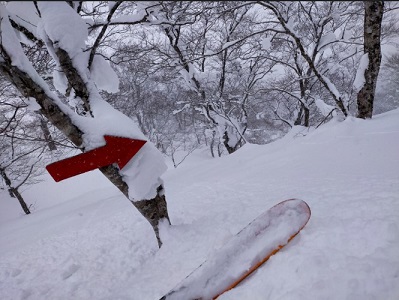 f:id:uminotabi7:20220217111943j:plain