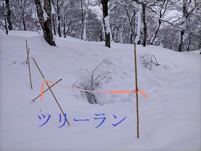 f:id:uminotabi7:20220217112007j:plain