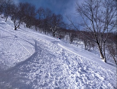 f:id:uminotabi7:20220217112248j:plain