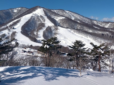 JR SKISKI 斑尾②ツリーラン巡り「斑尾高原～タングラム」信州長野2022