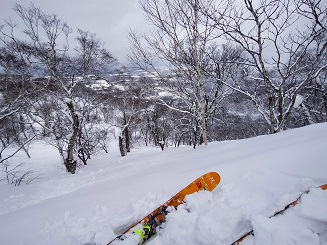 f:id:uminotabi7:20220319121451j:plain